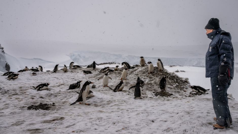 聯合國祕書長古特瑞斯行走在南極洲貝爾納多·奧希金斯將軍基地的企鵝中間。（圖／UN Photo by Mark Garten）